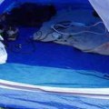 Are tents waterproof from rain?